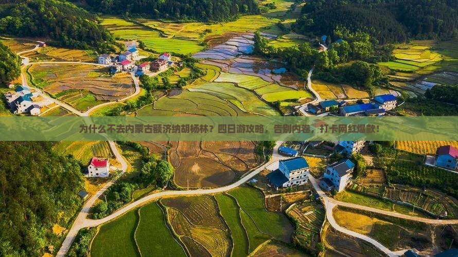 十月到内蒙额济纳胡杨林四日游