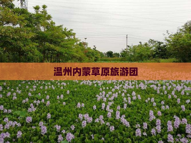 温州到内蒙希拉穆仁草原团体旅游