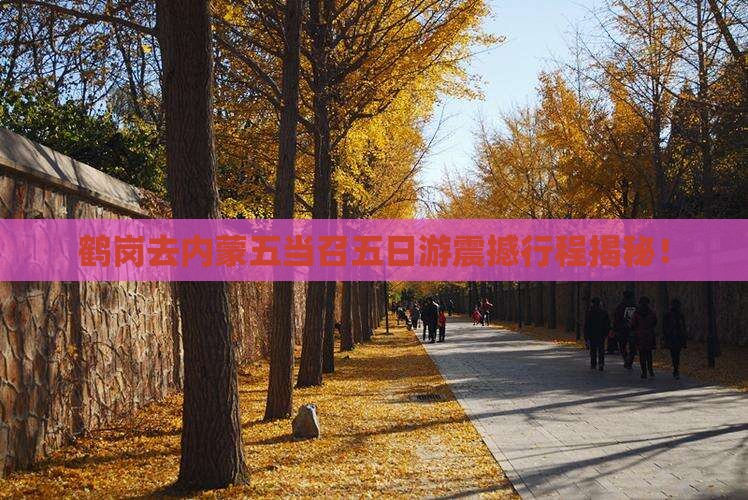 鹤岗去内蒙五当召五日游