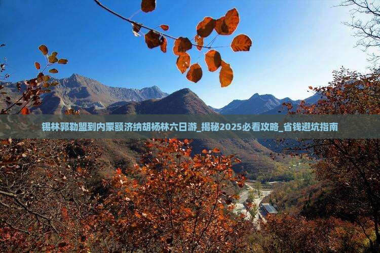 锡林郭勒盟到内蒙额济纳胡杨林六日游