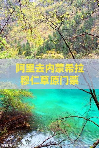 阿里去内蒙希拉穆仁草原门票