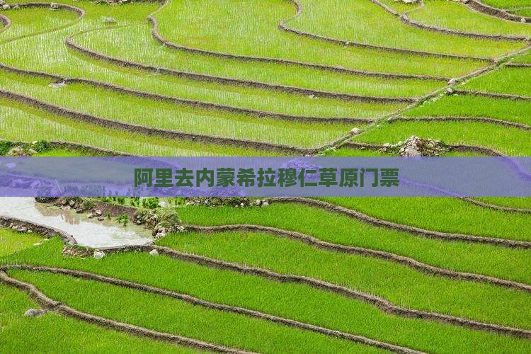 阿里去内蒙希拉穆仁草原门票