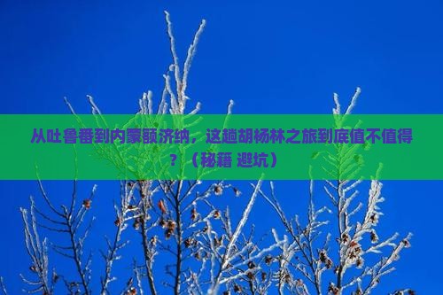 吐鲁番去内蒙额济纳胡杨林旅游