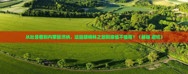 吐鲁番去内蒙额济纳胡杨林旅游
