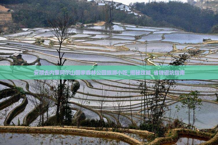 安顺去内蒙阿尔山国家森林公园旅游小吃