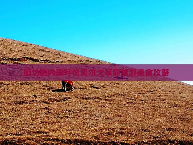 廊坊到内蒙呼伦贝尔大草原旅游小吃