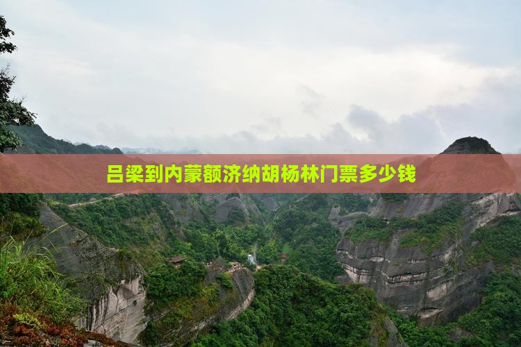 吕梁到内蒙额济纳胡杨林门票