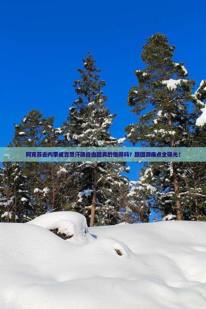 阿克苏去内蒙成吉思汗陵自由团
