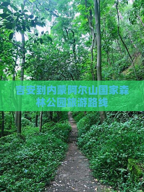 吉安到内蒙阿尔山国家森林公园旅游