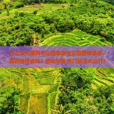 白山去内蒙阿尔山国家森林公园团体旅游
