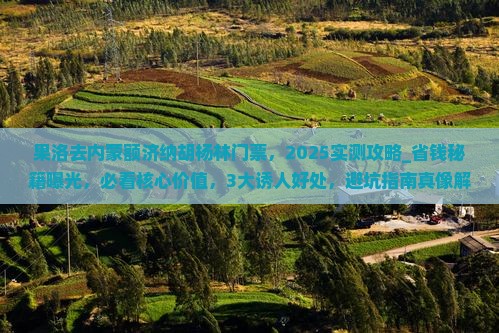 果洛去内蒙额济纳胡杨林门票