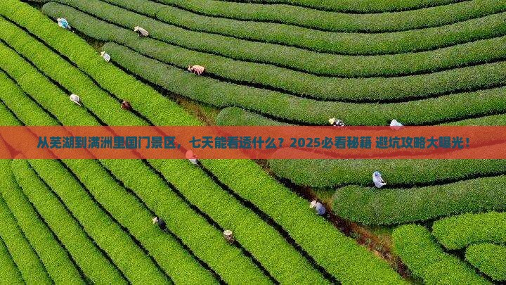 芜湖到内蒙满洲里国门景区七日游