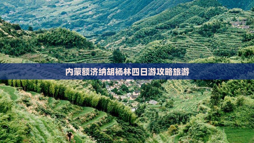 铜川到内蒙额济纳胡杨林四日游