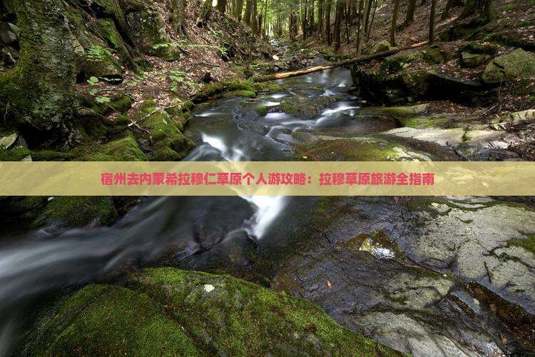 宿州去内蒙希拉穆仁草原个人游