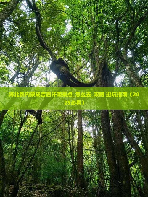 海北到内蒙成吉思汗陵景点