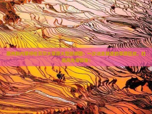惠州到内蒙呼伦贝尔大草原大型旅游团