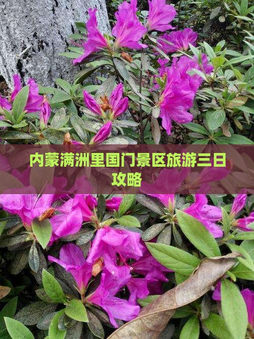朔州到内蒙满洲里国门景区三日游