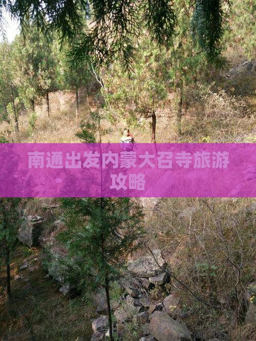 南通到内蒙大召寺个人游