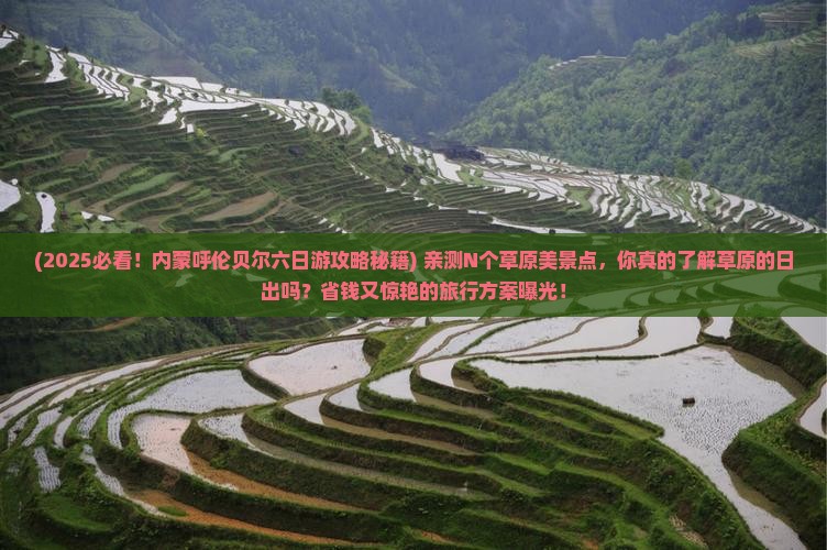 六月到内蒙呼伦贝尔大草原六日游