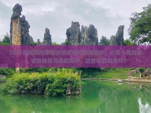 铜陵到内蒙额济纳胡杨林旅游小吃