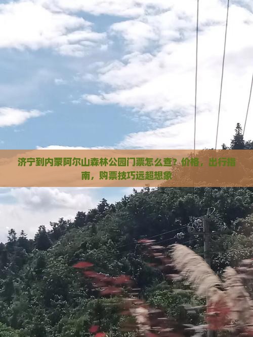 济宁到内蒙阿尔山国家森林公园门票