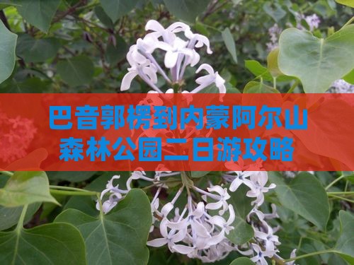 巴音郭楞到内蒙阿尔山国家森林公园二日游
