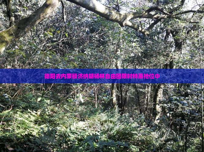 德阳去内蒙额济纳胡杨林自由团 德阳去内蒙额济纳胡杨林自由团