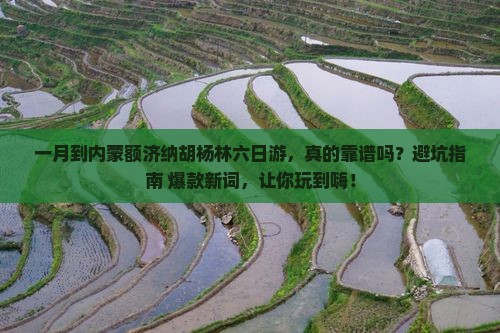 一月到内蒙额济纳胡杨林六日游