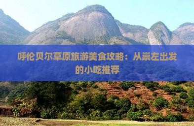 崇左到内蒙呼伦贝尔大草原旅游小吃