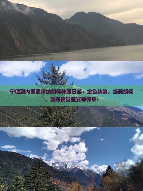 宁德到内蒙额济纳胡杨林四日游