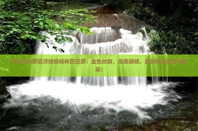 宁德到内蒙额济纳胡杨林四日游