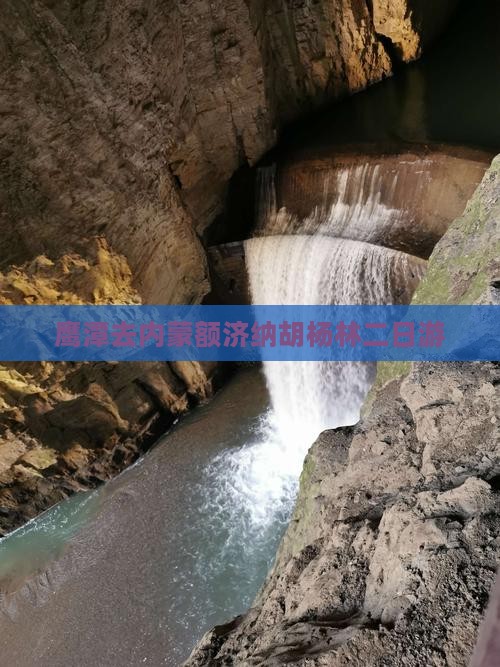 鹰潭去内蒙额济纳胡杨林二日游