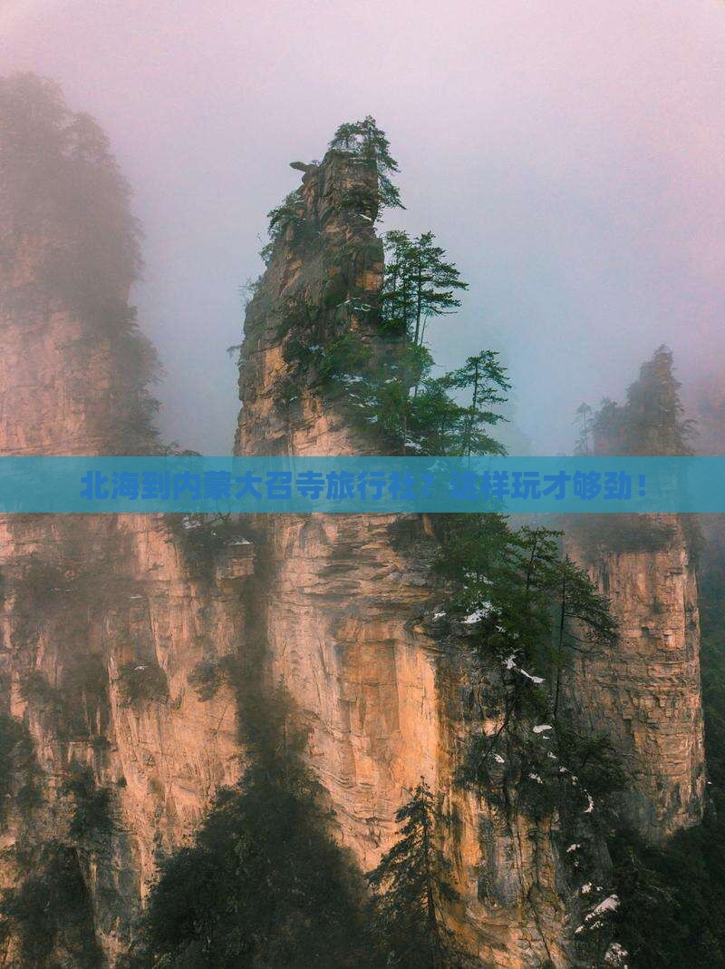 北海到内蒙大召寺旅行社