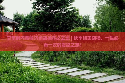 甘南到内蒙额济纳胡杨林必去地