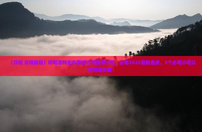呼和浩特去内蒙响沙湾旅游小吃