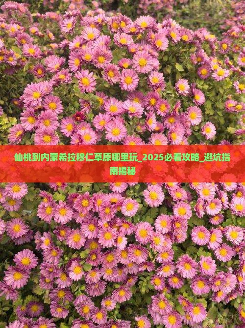 仙桃到内蒙希拉穆仁草原哪里玩