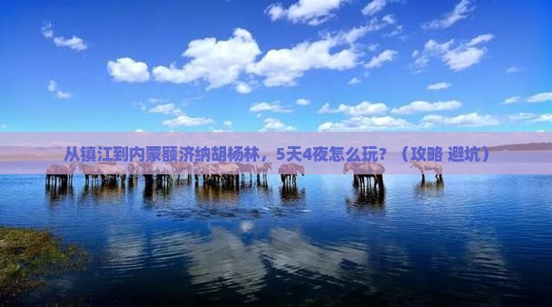 镇江到内蒙额济纳胡杨林景点 镇江到内蒙额济纳胡杨林景点