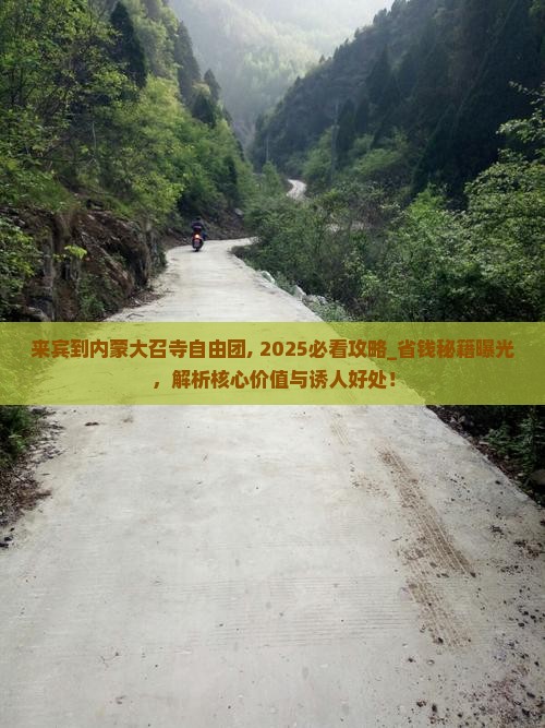 来宾到内蒙大召寺自由团