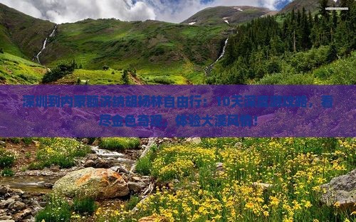 深圳到内蒙额济纳胡杨林自由行