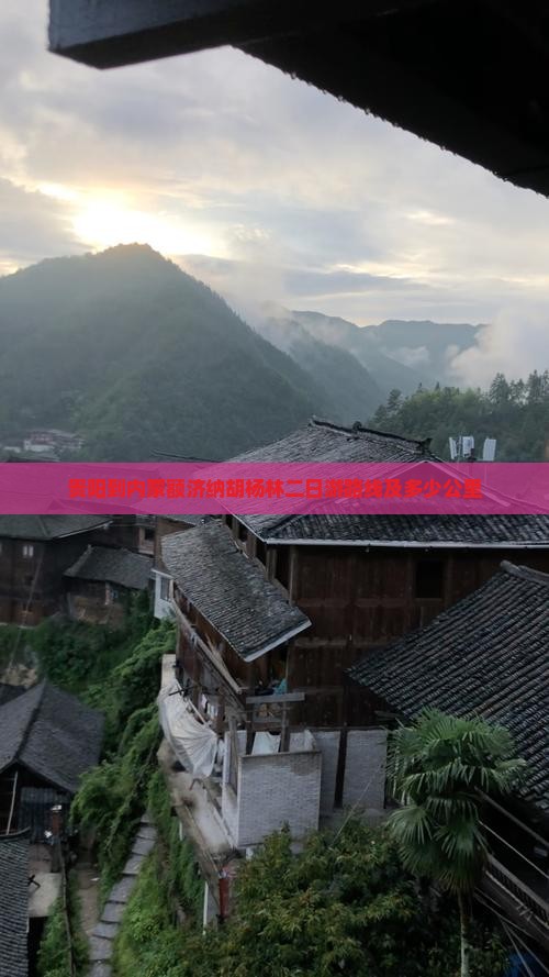 贵阳到内蒙额济纳胡杨林二日游