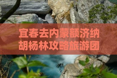 宜春去内蒙额济纳胡杨林大型旅游团