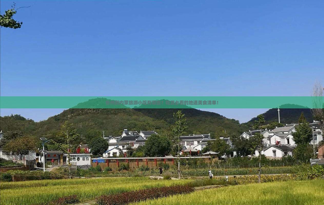 忻州到内蒙旅游小吃