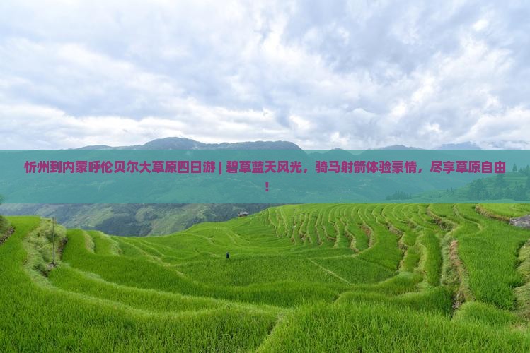 忻州到内蒙呼伦贝尔大草原四日游