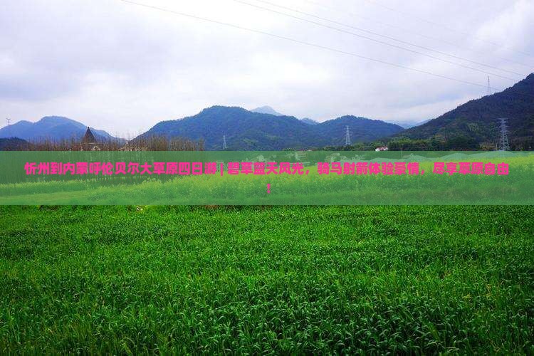 忻州到内蒙呼伦贝尔大草原四日游