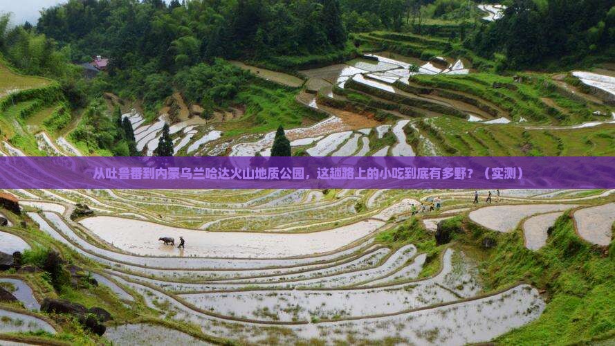 吐鲁番去内蒙乌兰哈达火山地质公园旅游小吃