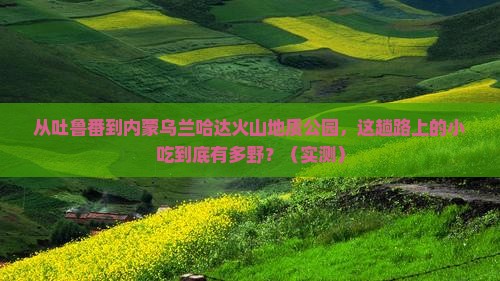 吐鲁番去内蒙乌兰哈达火山地质公园旅游小吃