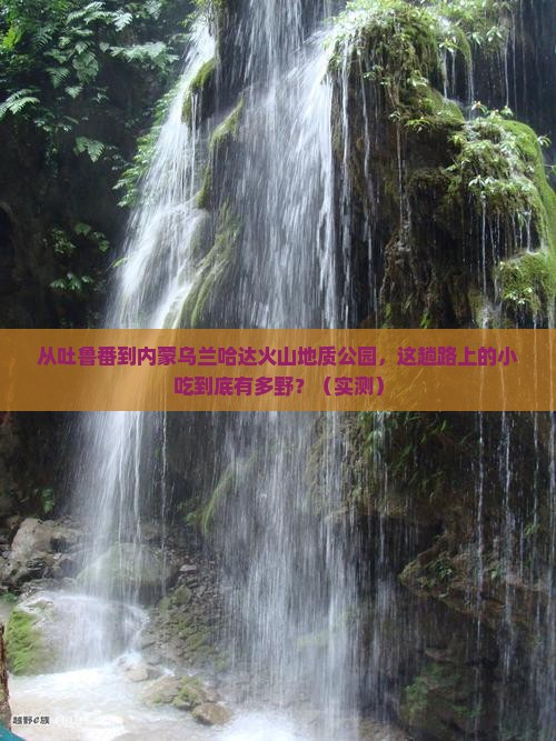 吐鲁番去内蒙乌兰哈达火山地质公园旅游小吃