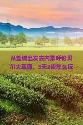 盐城去内蒙呼伦贝尔大草原自由行
