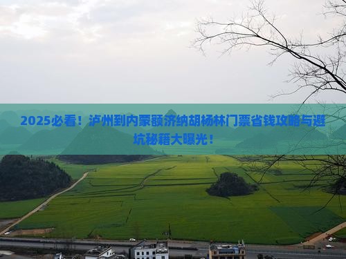 泸州到内蒙额济纳胡杨林门票