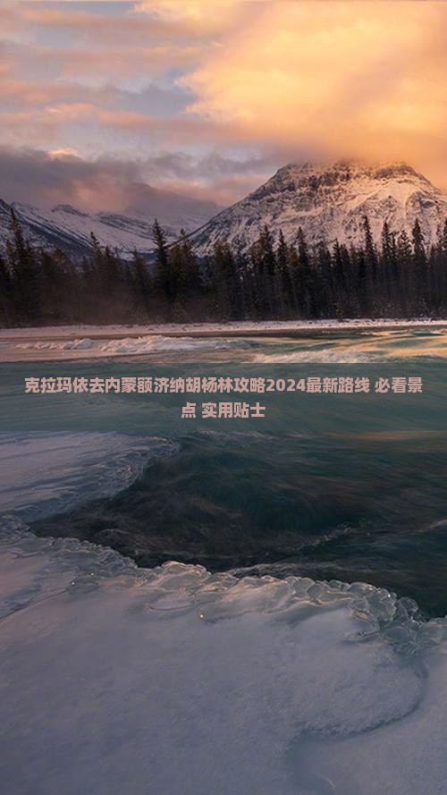 克拉玛依去内蒙额济纳胡杨林攻略